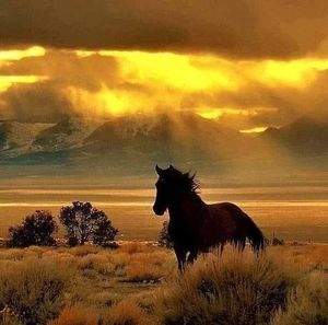 Meet your Posher, Jeff